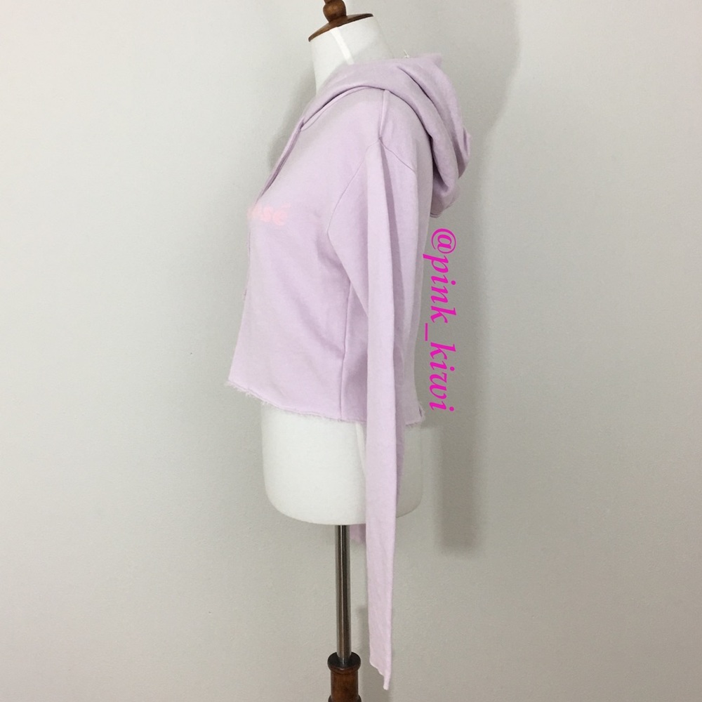⬇️REDUCED❗️ Wildfox Pasé The Rosé Ivy Hoodie - Picture 5 of 8